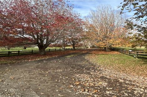 Photo of property in 146 Pine Valley Road, Dairy Flat, Silverdale, 0992