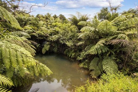Photo of property in 166b Heard Road, Waihi, 3681