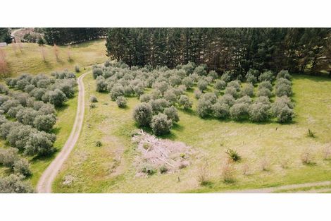 Photo of property in 4560 Pouto Road, Pouto, Te Kopuru, 0391