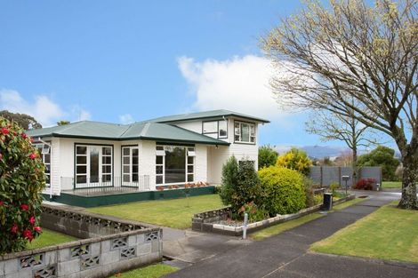 Photo of property in 251 Vogel Street, Roslyn, Palmerston North, 4414