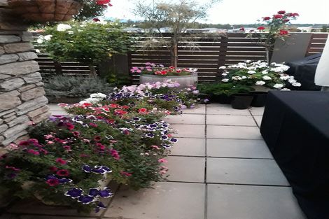 Photo of property in 33f Larch Crescent, Alexandra, 9320