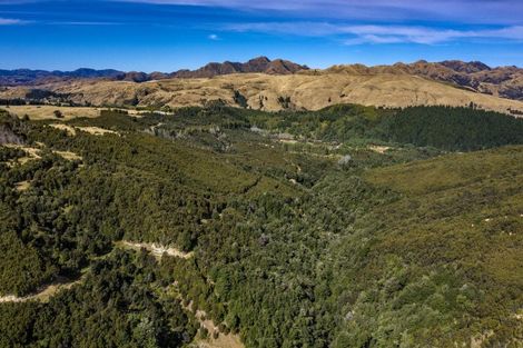 Photo of property in 253 Mount Lyford Forest Drive, Lyford, Waiau, 7395