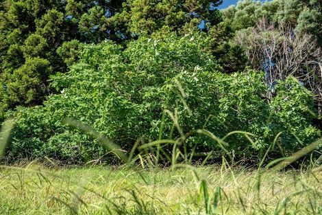 Photo of property in 84 Edmonds Road, Kerikeri, 0293