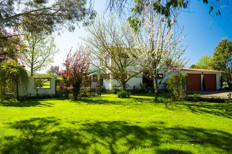 Photo of property in 467 Nelson Road, Riverdale, Gisborne, 4010