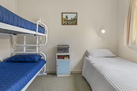 Photo of property in 64 Kaiuru Avenue, Pukawa Bay, Turangi, 3381