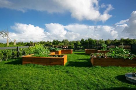 Photo of property in 11 Mike Smith Drive, Cambridge, 3434