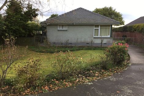 Photo of property in 5 Mcsaveneys Road, Marshland, Christchurch, 8051