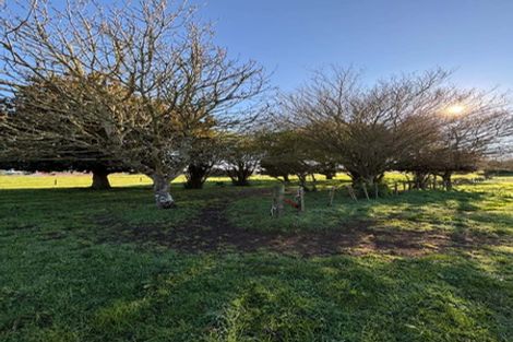 Photo of property in 30 Pellikan Place, Tokoroa, 3491