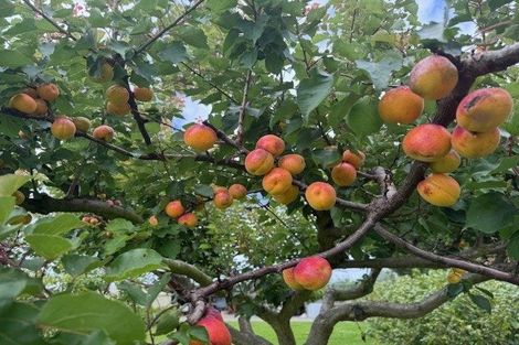 Photo of property in 132 Round Hill Road, Loburn, 7472