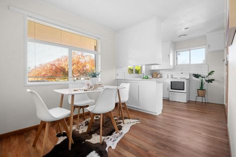 Photo of property in 13 Nelson Street, Hamilton East, Hamilton, 3216