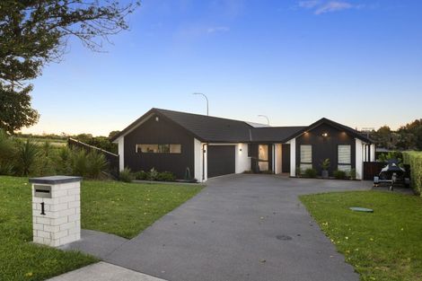 Photo of property in 1 Rongoa Maori Way, Pukekohe, 2120