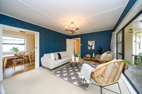 Photo of property in 18 Snowdon Avenue, Terrace End, Palmerston North, 4410