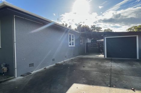 Photo of property in 38 Long Melford Road, Awapuni, Palmerston North, 4412