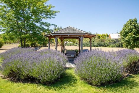 Photo of property in 190 Airport Road, Alexandra, 9391