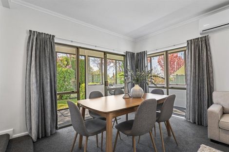 Photo of property in 141a Boucher Avenue, Te Puke, 3119