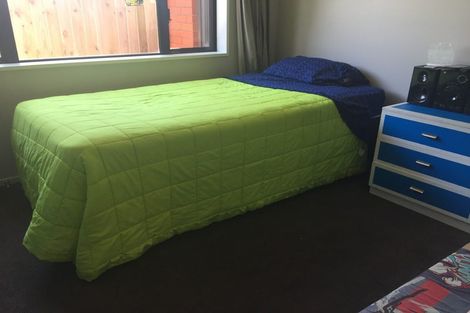 Photo of property in 117a Packe Street, Edgeware, Christchurch, 8013