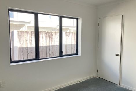 Photo of property in 213b Massey Street, Frankton, Hamilton, 3204