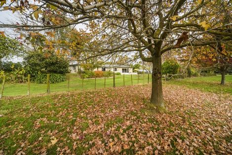 Photo of property in 197 Tutaki Road, Kelvin Grove, Palmerston North, 4470