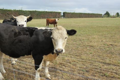 Photo of property in 18 Thews Road, Tinwald, Ashburton, 7778