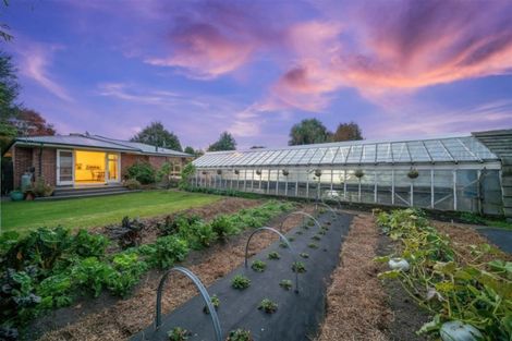 Photo of property in 55 Ford Road, Opawa, Christchurch, 8023