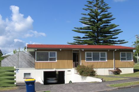 Photo of property in 75 Nikau Street, New Lynn, Auckland, 0600