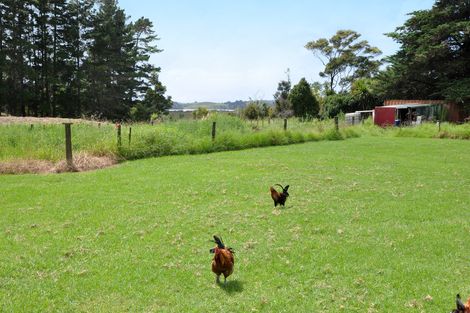 Photo of property in 163 Pukapuka Road, Pohuehue, Warkworth, 0983