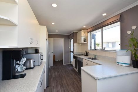 Photo of property in 133 Cunningham Crescent, Grasmere, Invercargill, 9810