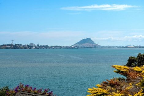 Photo of property in 266 Maungatapu Road, Maungatapu, Tauranga, 3112