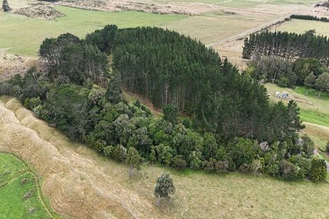 Photo of property in 171 Bainesse Road, Bainesse, Palmerston North, 4477