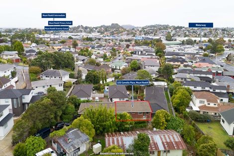 Photo of property in 2/22 Camellia Place, Mount Roskill, Auckland, 1041