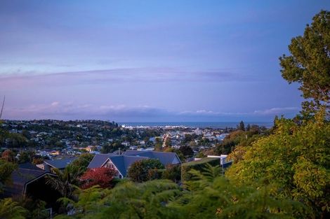 Photo of property in 5 Allan Street, Nelson South, Nelson, 7010