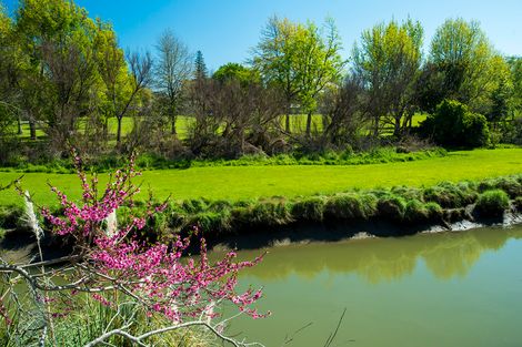 Photo of property in 1041a Aberdeen Road, Te Hapara, Gisborne, 4010