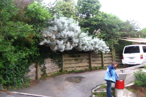 Photo of property in 46 Morrison Street, Caversham, Dunedin, 9012