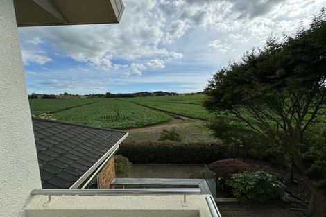 Photo of property in 29 Friesian Place, Grandview Heights, Hamilton, 3200