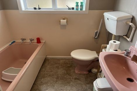 Photo of property in 3 Williams Place, Fairfield, Hamilton, 3214