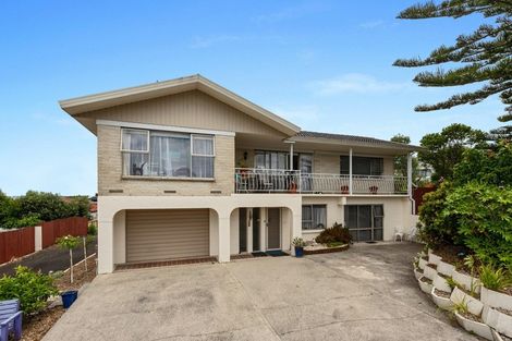 Photo of property in 19 Ridout Street, Maeroa, Hamilton, 3200