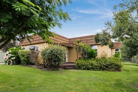 Photo of property in 913 Florence Street, Raureka, Hastings, 4120