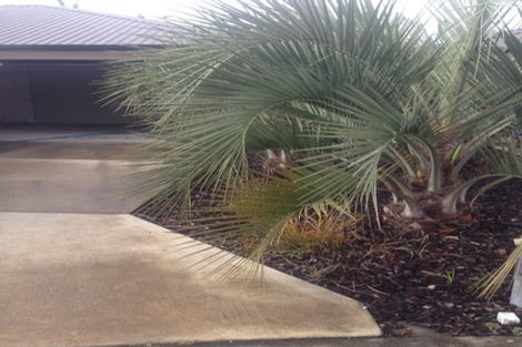 Photo of property in 126c Clarkin Road, Fairfield, Hamilton, 3214