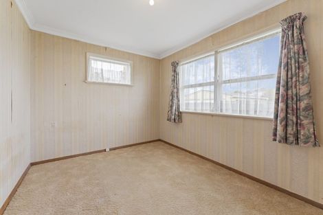 Photo of property in 55 Read Street, Levin, 5510