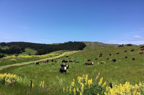 Photo of property in 310 Blackhead Road, Blackhead, Dunedin, 9076