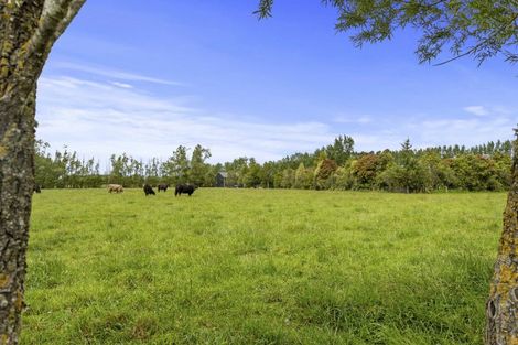 Photo of property in 1015 Two Chain Road, Swannanoa, Rangiora, 7475