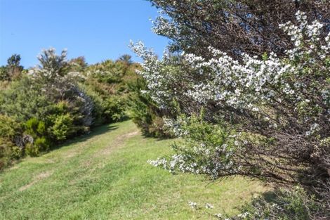 Photo of property in 160 Pumpkin Hill Road, Pumpkin Hill, Whitianga, 3591