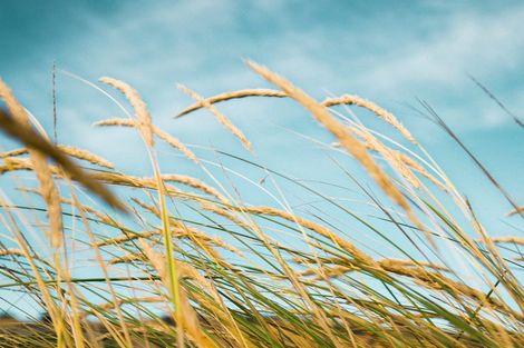 Photo of property in 205 Rocking Horse Road, Southshore, Christchurch, 8062