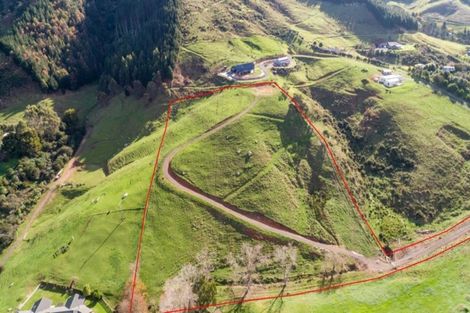 Photo of property in 78 Packtrack Road, Thames, 3577