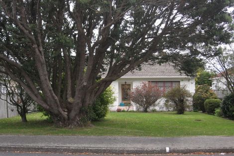 Photo of property in 30 Thornycroft Avenue, Epuni, Lower Hutt, 5011