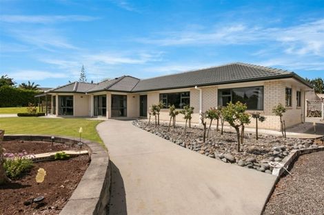 Photo of property in 352 Tuapiro Road, Tahawai, Katikati, 3170