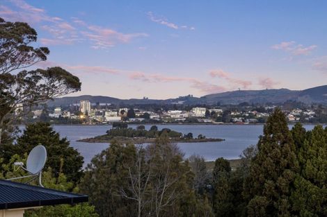 Photo of property in 286a Grange Road, Otumoetai, Tauranga, 3110