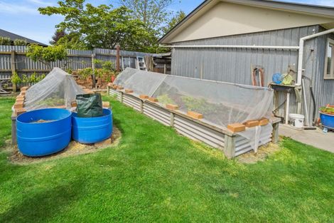 Photo of property in 14 Connor Place, Netherby, Ashburton, 7700