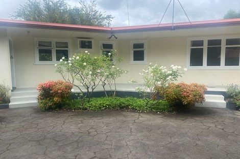 Photo of property in 45 Alfred Street, Roslyn, Palmerston North, 4414