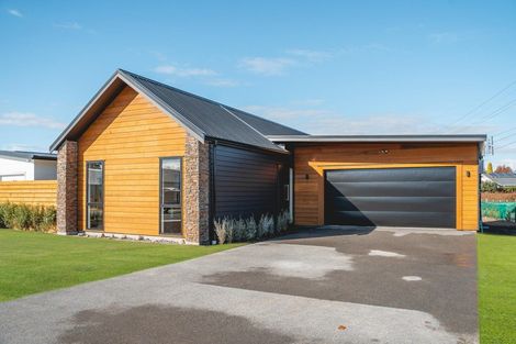 Photo of property in 56 Miro Street, Lansdowne, Masterton, 5810